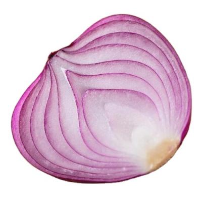 China Fresh good quality vegetable products peeled onion fresh unpeeled large onion for sale