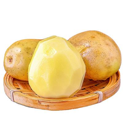 China Healthy Food Low Price Guaranteed Quality Vegetables Organic Potatoes Fresh Potato Wholesale for sale