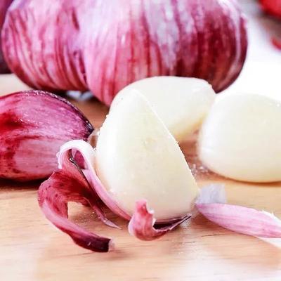 China best quality fresh garlic bulk china price red garlic in low price gusset/cfr/cif for sale