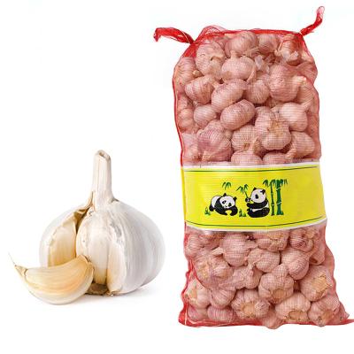 China Chinese jin xiang xiang garlic 5A grade 10kg package fresh garlic 5.5 to 6.5cm white garlic for sale