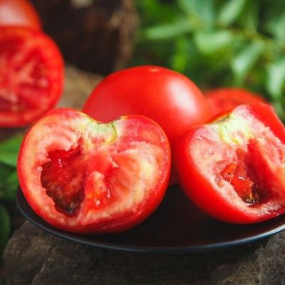 China China 2022 Fresh Most Fresh Pure Natural High Quality Tomato Factory for sale