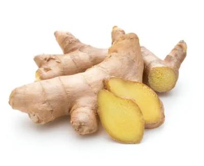 China China Quality Spicy Fragrant Healthy 100% Export Ginger Dried Fresh Organic Ginger for sale