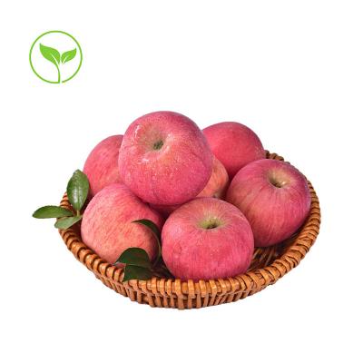 China China Supplier Wholesale Farm Fresh Fuji Apples for sale