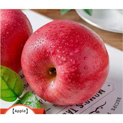 China Chinese 2022 New Fresh Cultivation Fuji Apple's Natural Gala Fresh Red Star Red Fruit For Export for sale