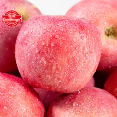 China Newest Red Star Apple Fresh Sweet Culture Style Ripe Color Origin Packing Fresh Apple Fruit for sale