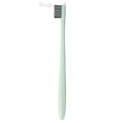 China Quality Eco-friendly Fashionable Spiral Toothbrush Straw Wheat Biodegradable Toothbrush for sale