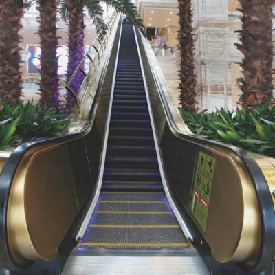 China Other Cheap Shanghai Fuji Factory Indoor And Outdoor Escalators And Moving Walks for sale