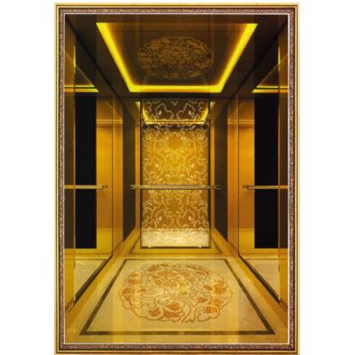 China Other Shanghai Fuji Commercial Indoor Home Elevator Residential Elevator with Competitive Price for Home Use for sale