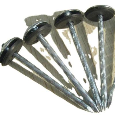 China Steel 1-1/4 Inch Calamina Clavos Galvanized Umbrella Head Roofing Nails Corrugated Nails Galvanized Twisted Leg for sale