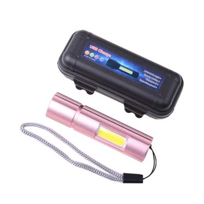 China Customized Gift Dentist Nurse Pocket Portable Torch Convenient Flashlight Fires Everyone Carry Backpack Led Torch Light Rechargeable for sale