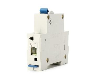 China IP40 AC Type Household Miniature Current Circuit Breaker 1P Overload Protector for sale