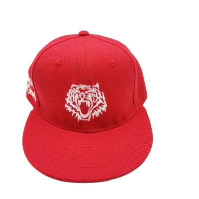 China JOINT Manufacturers Designer Custom Logo Flat Brim Plastic Snapback Hats for sale