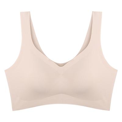 China Antibacterial Women's GYM Wear Yoga Sports Bra Seamless Sports Bra Plus Bras for sale