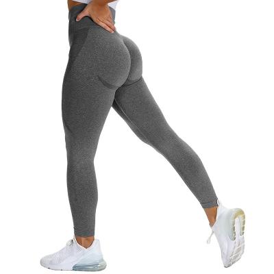 China Breathable Seamless Yoga Leggings , Seamless GYM Compression Running Wear Women Pants for sale