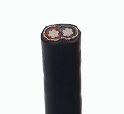 China 2021 A.W.G. 600V XLPE Overhead Hot Selling Copper/Aluminum/8000 Aluminum Alloy Cable 3X6 2X8 3X4 2X10 Concentric for sale