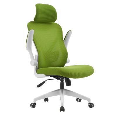 China Green Sally Mesh Fabric Ergonomic Home Office Chair by Mesh Fabric High Back Computer for sale