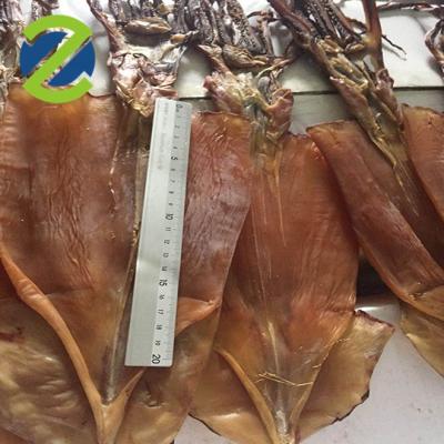 China Squid Argentina Squid Low Salt Dry Dried Squid for sale