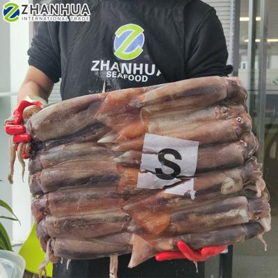 China Squid Nutrient Block Argentina Illex Frozen Raw Squid for sale