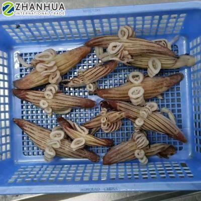 China Frozen Squid Wing Flower 1kg Flower IQF FROZEN Bag Tail Squid for sale