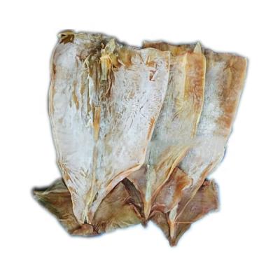 China China Nutritious Squid Supplier Price Export Dried Squid Good Quality Dried Squid for sale