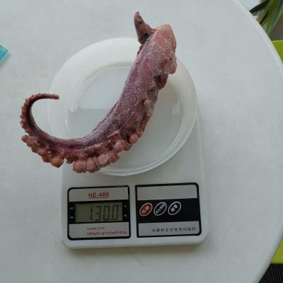 China Nutritious Squid Tentacle Grilled Big Squid Tentacle BBQ Squid Wholesale for sale