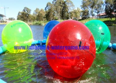 China Durable Pool Human Water Walking Ball Red Yellow Blue Green Color for sale