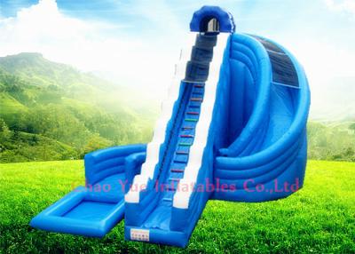 China Commercial 9x6m 0.55mm PVC Wave Inflatable Water Slide with CE Blower for Outdoor for sale