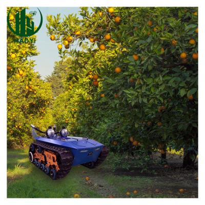 China Efficient factory direct exclusive support UGV for plant protection high quality agricultural UAV for sale