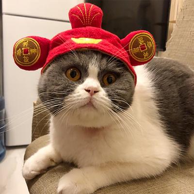 China Viable Hot Sale Amazon Pets Cat Dog Hat Headgear Scarf Coat Cape Christmas Pet Clothes for sale