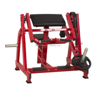 China 180kg hammer strength biceps curl fitness equipment/gym machine/exercise equipment for sale