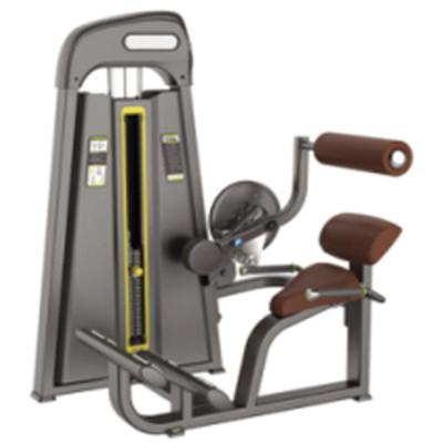 China Fitness Center Pin Loaded Fitness Equipment / Commercial Back Extension For Gym Use for sale