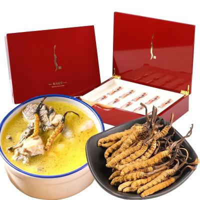 China Health Food Best Trade Price Fresh Dried Cordyceps Sinensis Gift Package for sale