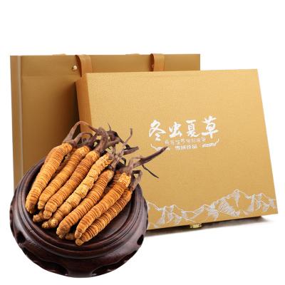 China Health Food Cordyceps Gift Packing High Quality Prue Natural Organic Dried Cordyceps Sinensis for sale