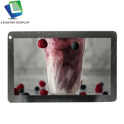 China 13.3 inch TFT LCD Module 1920(H) X1080(V) Computer Interface IPS LCD Panel 13.3