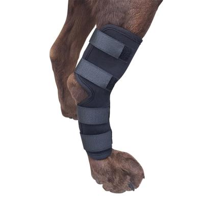 China Durable Comfortable Dog Leg Brace Hock Protector For Dogs Dog Leg Wrap for sale