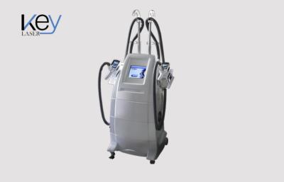 China Professional Loss Weight Cryolipolysis Slimming Machine For Arm , Leg , Abdomen , Back for sale