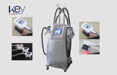 Cina Gelata grassa domestica di Cryolipolysis che dimagrisce macchina per rimozione/lifting facciale delle celluliti in vendita