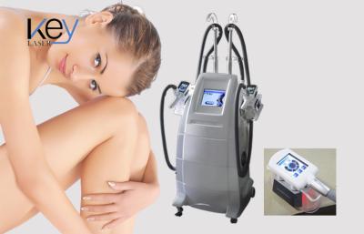 Chine Beauté Cryolipolysis de rf amincissant la réduction de cellulites de laser de Lipo de machine à vendre