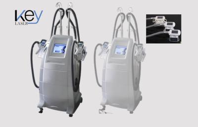 Chine Corps de Cryolipolysis formant la machine de physiothérapie avec 2 têtes de Cryo à vendre