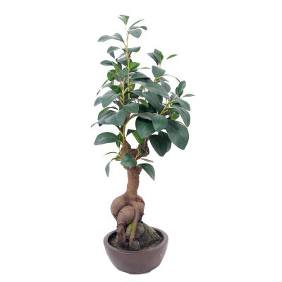 China Real Touch Artificial Plastic Bonsai Plants High Quality Douban Artificial Decorative Tree for sale