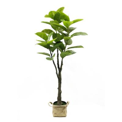 China Real Touch Customized New Design Oak Artificial Bonsai Plants Green Oak For Living Room for sale