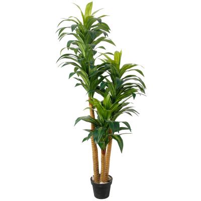 China High Quality Outdoor Artificial Dracaena Natural Fake Touch Indoor Plant Fragrans For Home And Garden Decoration for sale