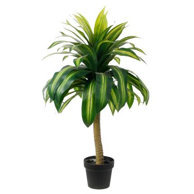 China Outdoor and Indoor Decorative Artificial Dracaena Lifelike Plant Fragrans for Office and Hospital for sale