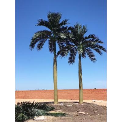 China China Real Touch Indoor Palm Trees Sale Cheap Price Big Plastic Artificial Coconut Tree And Outdoor Decoration Fake for sale