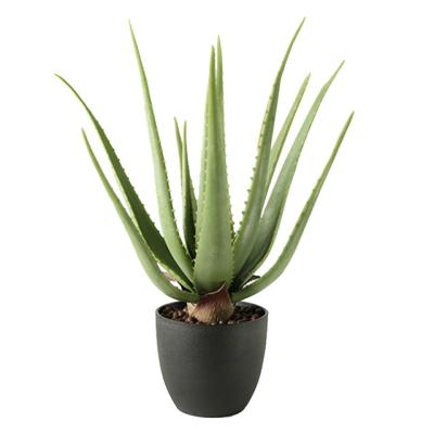 China Wholesale Potted Green Artificial Aloe Vera Succulent Plant 57cm Realistic Fake Plant High Simulation for sale