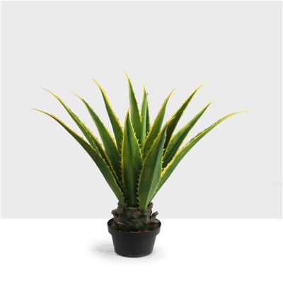 China Natural high quality faux agave bonsai ornamental plant contact agave sisal succulent plant for home decoration for sale