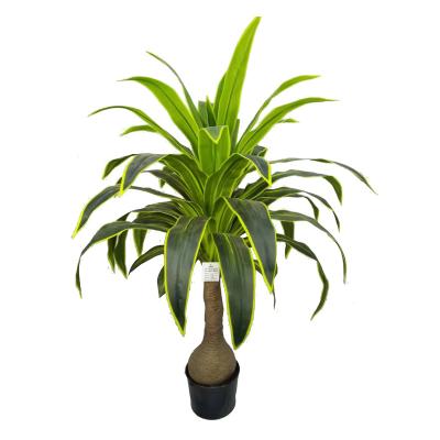 China Wholesale Realistic Plant Home Decoration and Garden Fake Greenery Plant Fragrans Artificial Dracaena for sale