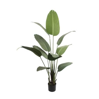 China Hot Selling Realistic Tropical Plants Large Realistic Amazon Palm Greenery Fake Banana Trees Artificial Outdoor Bonsai Trees for sale