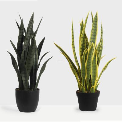 China Wholesale Artistic Plastic Imitation Black Gold Plants Large Artificial Guangdong Snake Grass Plants Indoor Decor for sale