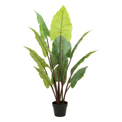 China Artificial Fake Potted Green Taro Plant Indoor House Plant 4ft Tall Realistic Plant 120cm Wholesale for sale